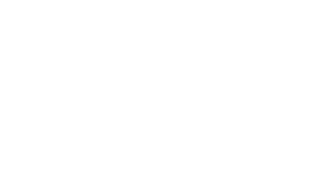 Social Media Marketing Queen